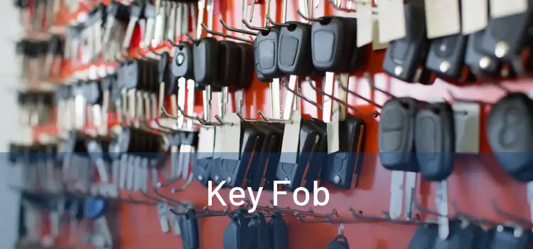  Key Fob 